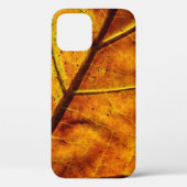 Coques Case-Mate iPhone Leaf leaf veins fall texture (Verso)