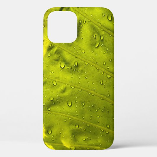 Coques Case-Mate iPhone L'eau chute sur la feuille verte (Verso)