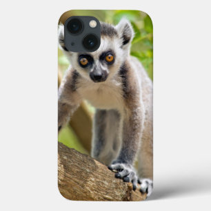Etui iPhone Case-Mate Lémur anneau-coupé la queue par bébé