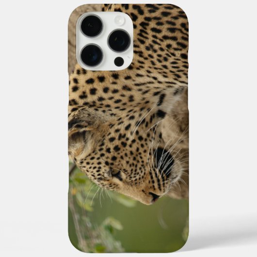 Coques Case-Mate iPhone Leopard  (Verso)