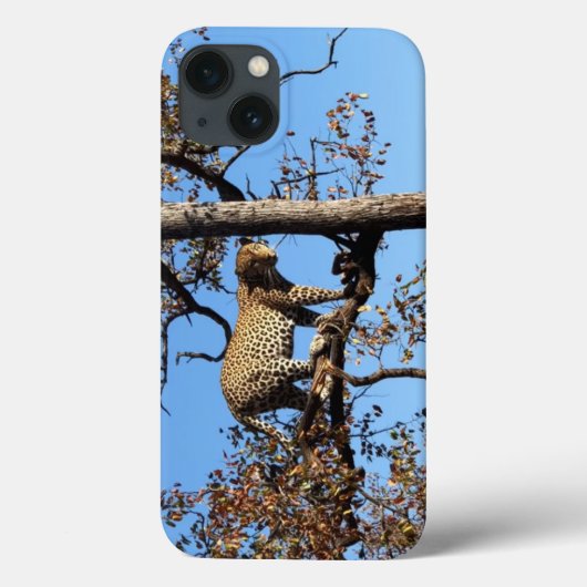 Coques Case-Mate iPhone Leopard dans un arbre en Afrique (Verso)