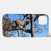 Coques Case-Mate iPhone Leopard dans un arbre en Afrique (Verso (horizontal))