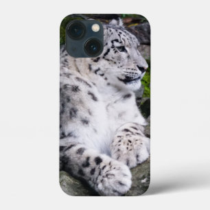 Case-Mate iPhone Case Léopard de neige refroidi