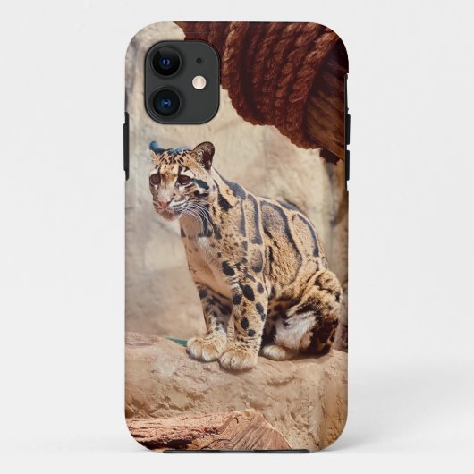 Coques Case-Mate iPhone léopard nébuleux image nature faune exotique (Dos)