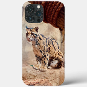 Case-Mate iPhone Case léopard nébuleux image nature faune exotique
