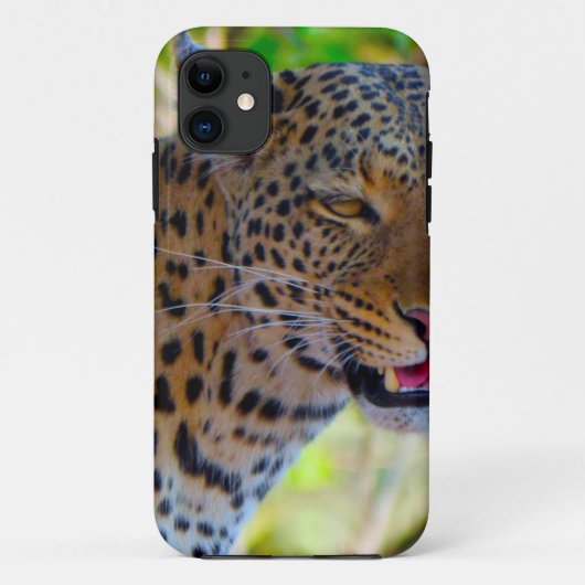 Coques Case-Mate iPhone Leopard tacheté (Dos)