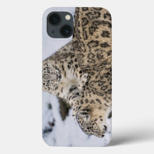 Etui iPhone Case-Mate Léopards de neige :