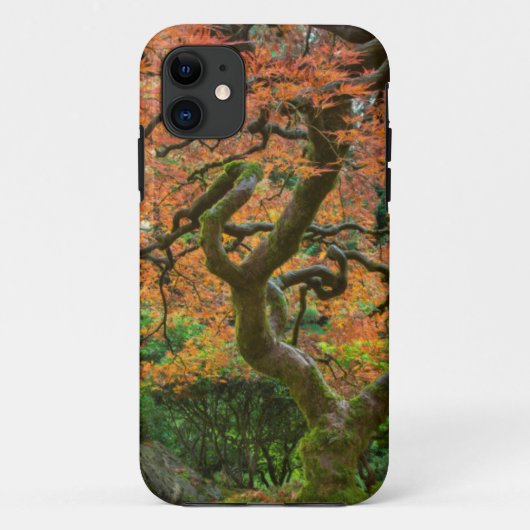 Coques Case-Mate iPhone L'Érable Dans Les Jardins Japonais En Automne (Dos)