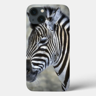 Etui iPhone 13 Les amoureux de Zèbre