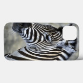 Coques Case-Mate iPhone Les amoureux de Zèbre (Verso (horizontal))