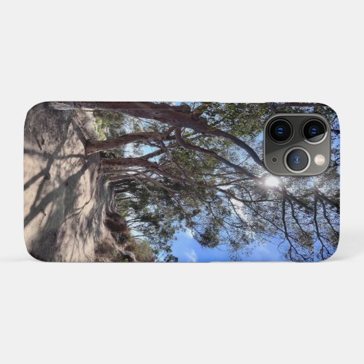 Coques Case-Mate iPhone Les arbres californiens au soleil d'automne. (Dos (Horizontal))