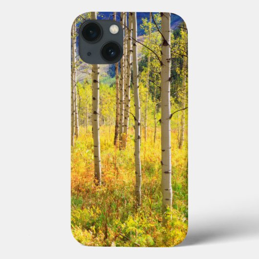 Coques Case-Mate iPhone Les arbres d'Aspen à l'automne dans les Rocheuses (Verso)