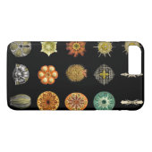 Coques Case-Mate iPhone Les bijoux sous-marins d'Ernst Haeckel (Dos (Horizontal))