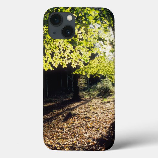 Coques Case-Mate iPhone Les bois au printemps (Verso)