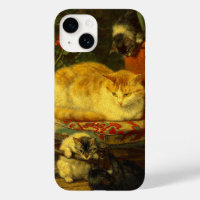 Les chatons en jeu