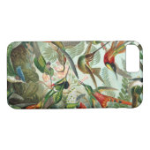 Coques Case-Mate iPhone Les colibris Extraordinaires Image par Ernst Haeck (Dos (Horizontal))
