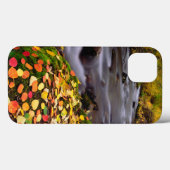 Coques Case-Mate iPhone Les couleurs d'automne le long de McGee Creek (Verso (horizontal))