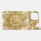 Coques Case-Mate iPhone Les créatures de la mer d'or (Verso (horizontal))