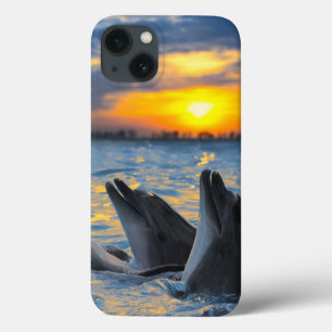 iPhone 13 Case Les dauphins bouteille-flairés dans la lumière de