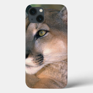 Coques Pour iPhone Les Etats-Unis, la Californie, le comté de Los