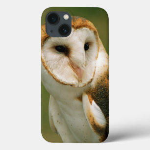iPhone 13 Case Les Etats-Unis, le Colorado, Broomfield. Hibou de