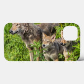 Coques Case-Mate iPhone Les Etats-Unis, Minnesota, grès, faune 12 du (Verso (horizontal))