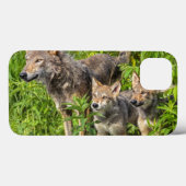 Coques Case-Mate iPhone Les Etats-Unis, Minnesota, grès, faune 12 du (Verso (horizontal))