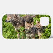 Coques Case-Mate iPhone Les Etats-Unis, Minnesota, grès, faune 12 du (Verso (horizontal))
