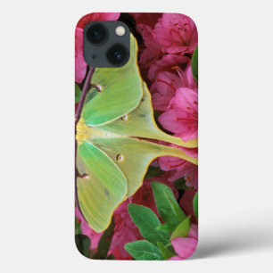 Coques Pour iPhone Les Etats-Unis, Pennsylvanie. Mite de Luna sur la
