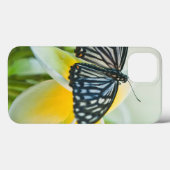 Coques Case-Mate iPhone Les Etats-Unis, Pennsylvanie. Papillon de machaon (Verso (horizontal))