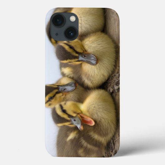 Coques Case-Mate iPhone Les Etats-Unis, Washington, Seattle, le Lac (Verso)