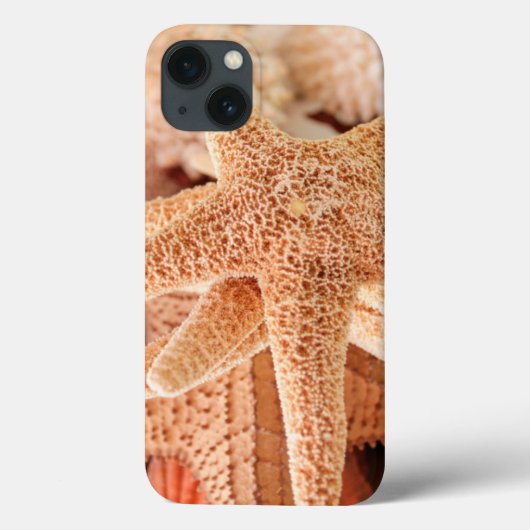 Coques Case-Mate iPhone Les étoiles de mer séchées vendues comme souvenirs (Verso)