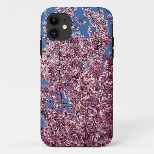 Coques Case-Mate iPhone Les fleurs de cerisiers japonais bleus (Dos)