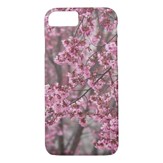 Coques Case-Mate iPhone Les fleurs de cerisiers Sakura sont roses (Dos)