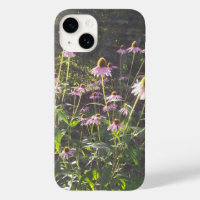 Les fleurs d'échinacée au soleil