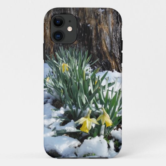 Coques Case-Mate iPhone Les jonquilles jaunes dans la neige (Dos)