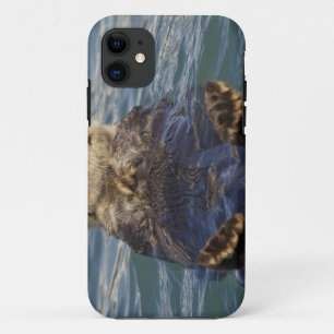 Coque iPhone 11 Les loutres de mer jouent sur les icebergs à Surpr