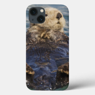 iPhone 13 Case Les loutres de mer jouent sur les icebergs à Surpr