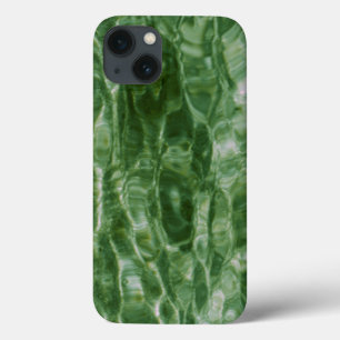 iPhone 13 Case Les Ondes Vertes Abstraites