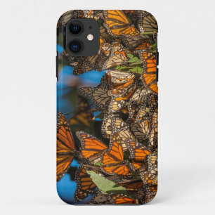 Coque iPhone 11 Les papillons monarques migrateurs s'accrochent au