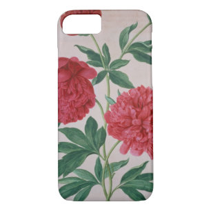 Coque iPhone 7 Les pivoines, plaquent 46 du Florilegium de Nassau