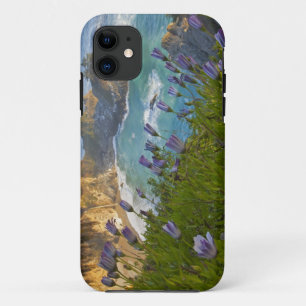 Coque Case-Mate Pour iPhone Les Scenic McWay Falls se jettent sur la plage et