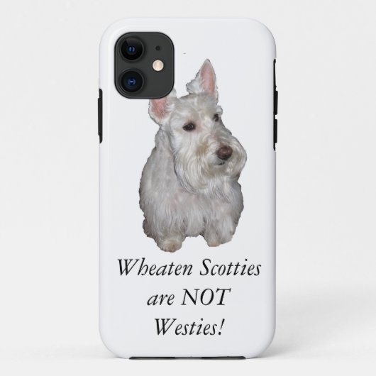 Coques Case-Mate iPhone Les Scotties blonds comme les blés ne sont pas (Dos)