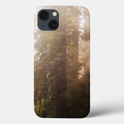 Coques Case-Mate iPhone Les séquoias dans le brouillard matinal avec les r (Verso)