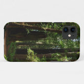 Coques Case-Mate iPhone Les séquoias et les fougères du parc national Redw (Dos (Horizontal))