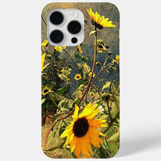 Coques Case-Mate iPhone Les Tournesols Avant Les Nuages De Tempête (Verso)