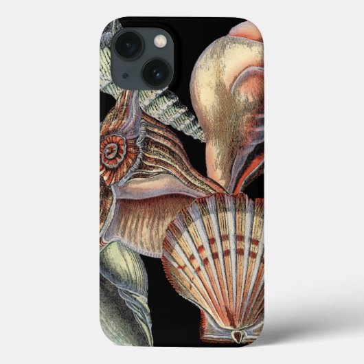 Coques Case-Mate iPhone Les trésors de la mer (Verso)