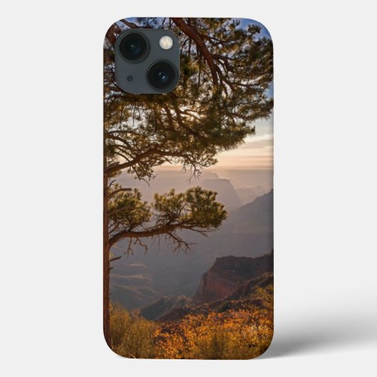 Coques Case-Mate iPhone Lever de soleil du nord de jante (Verso)