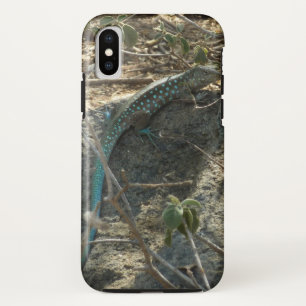 Case-Mate iPhone Case Lézard fouet Arubais Photographie d'animaux tropic