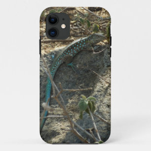 Etui iPhone Case-Mate Lézard fouette-queue d'Aruba Photographie d'animau